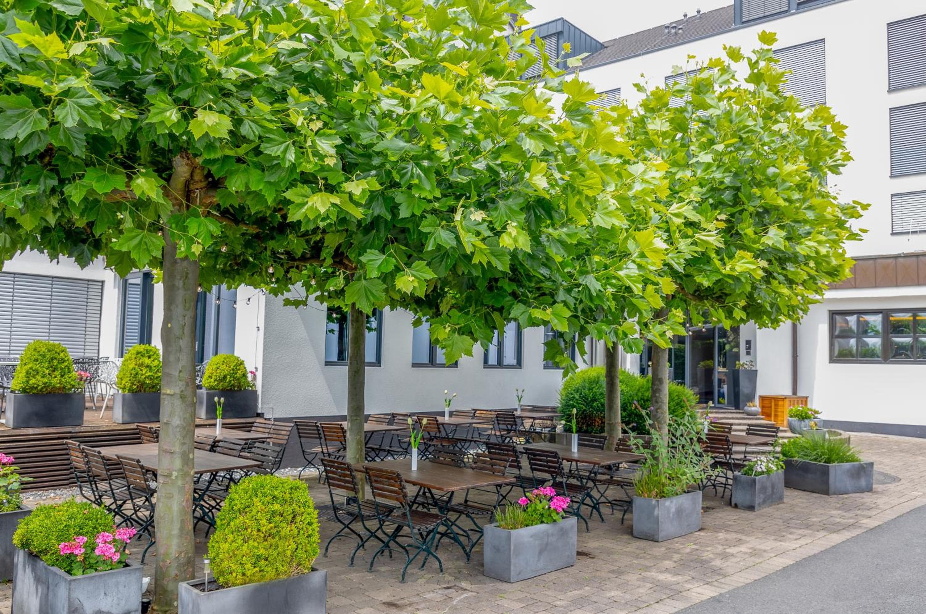 &REPEAT Köln Airport