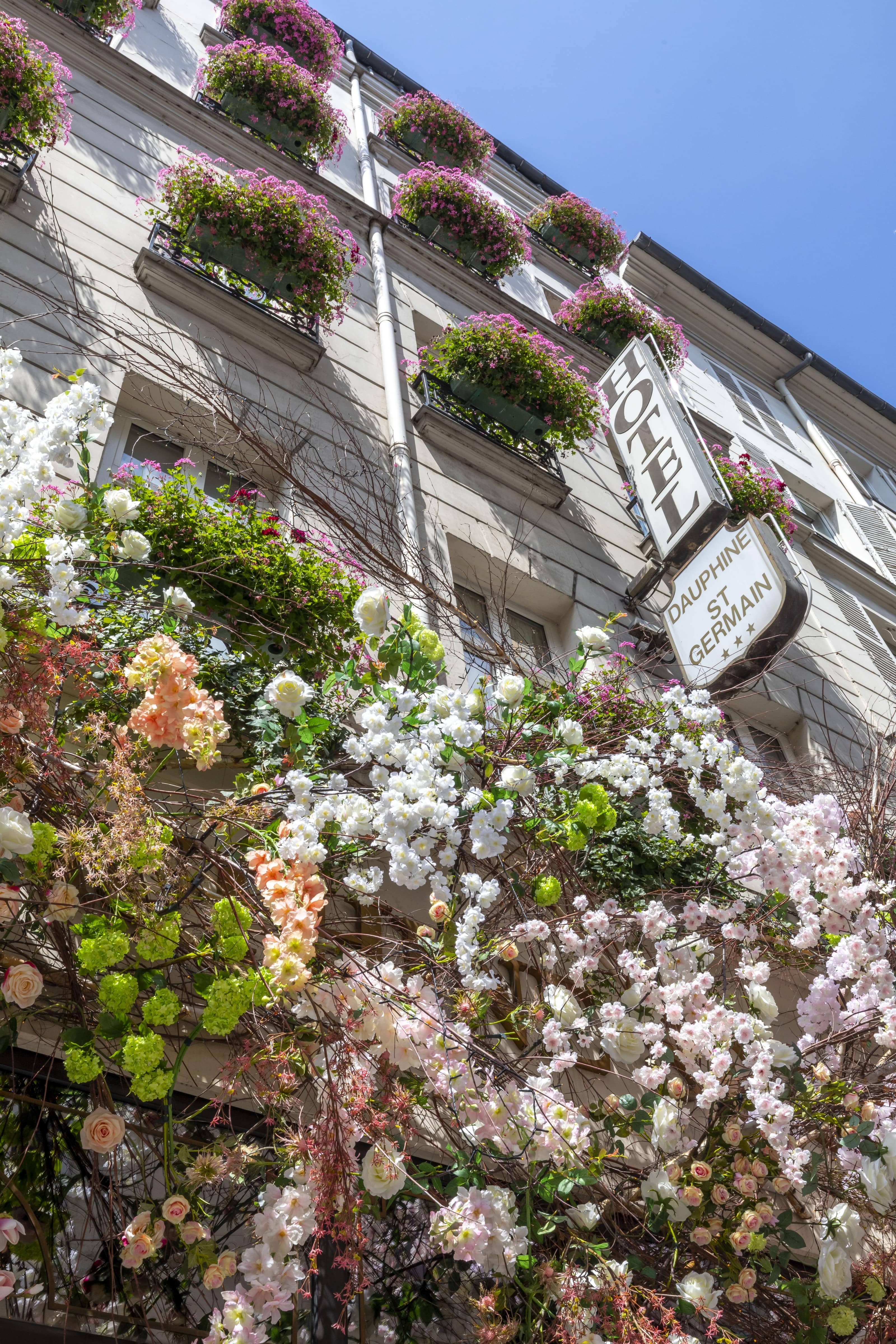 Dauphine Saint Germain