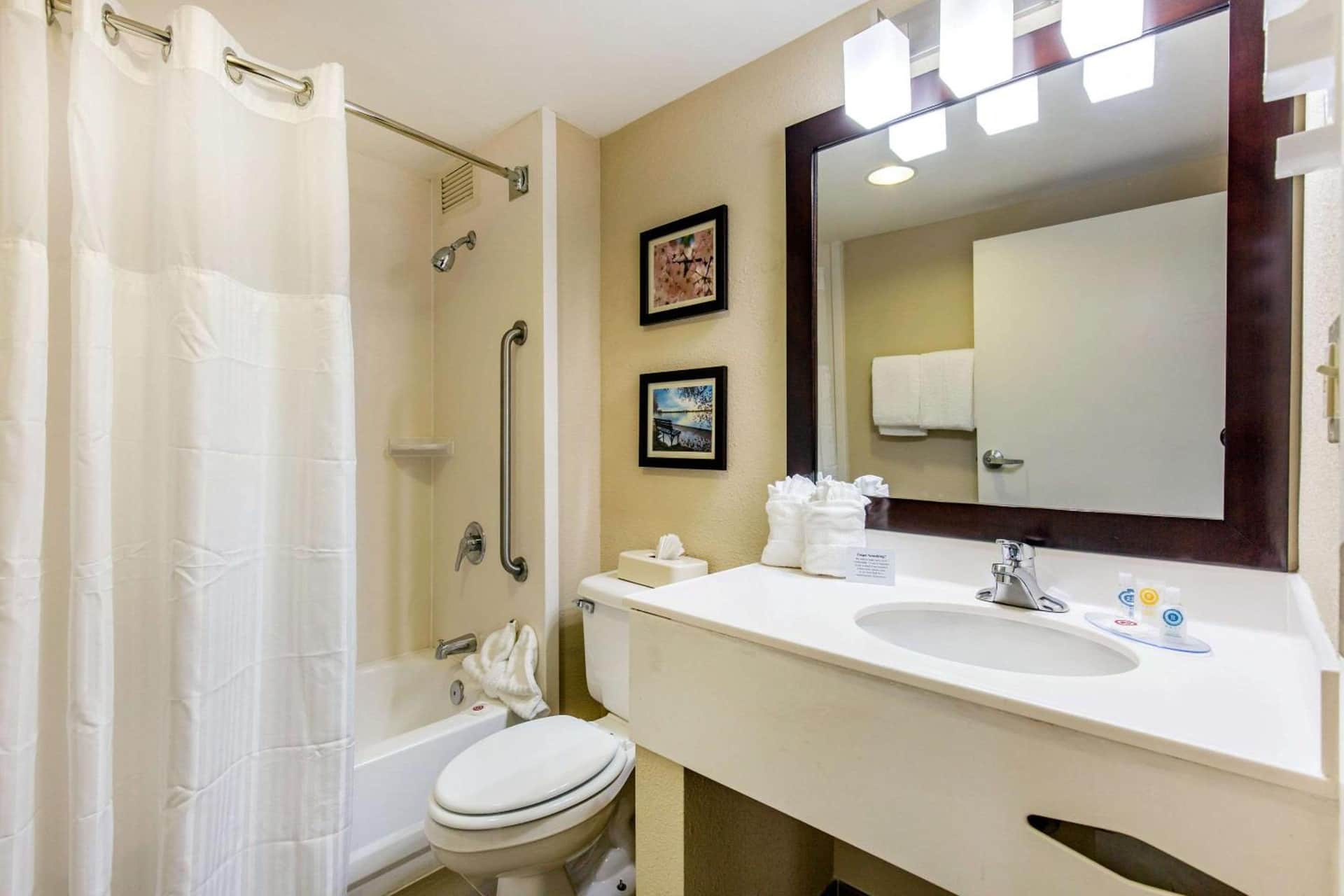 Comfort Inn College Park North