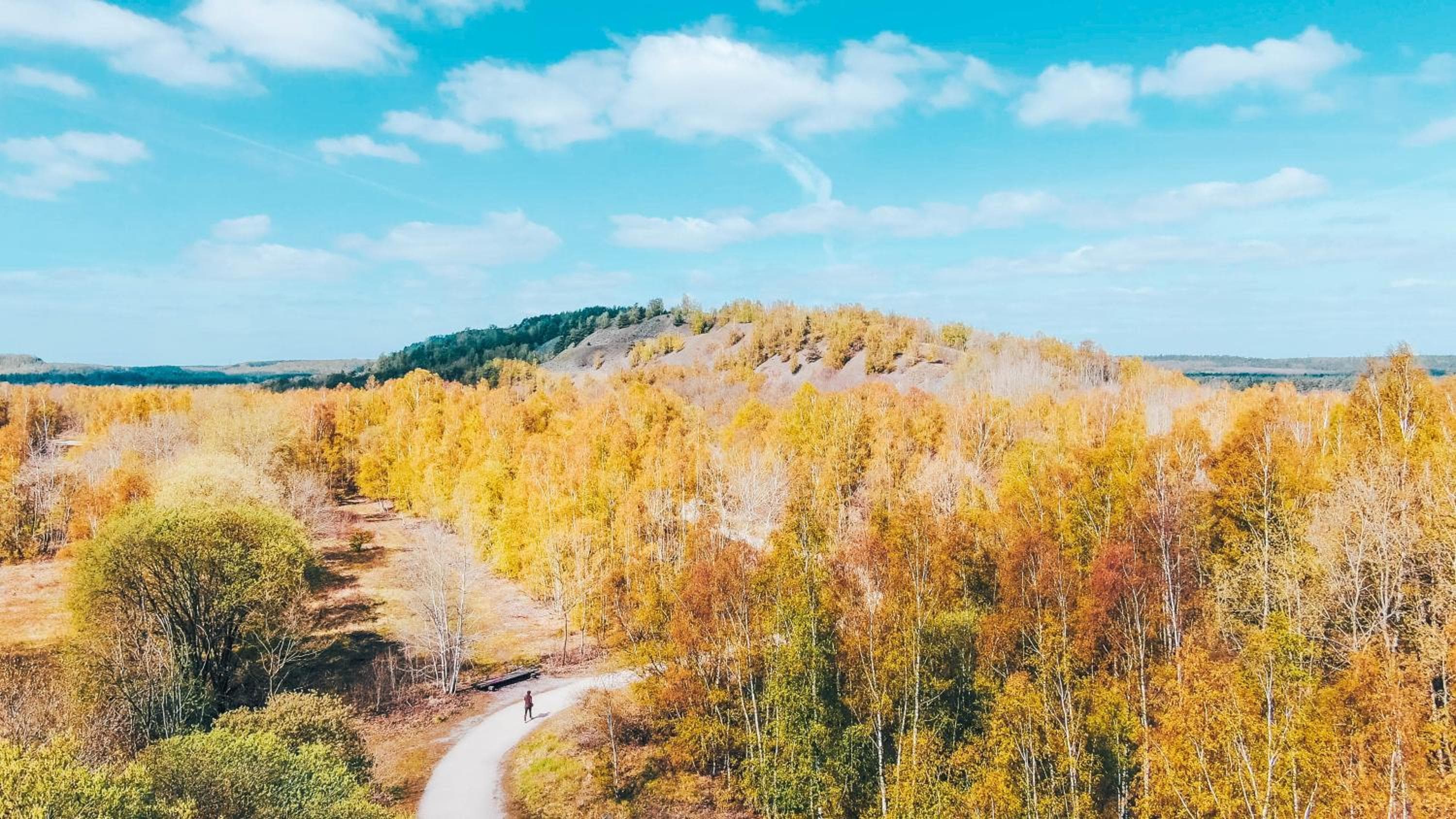 Green Resort Limburg