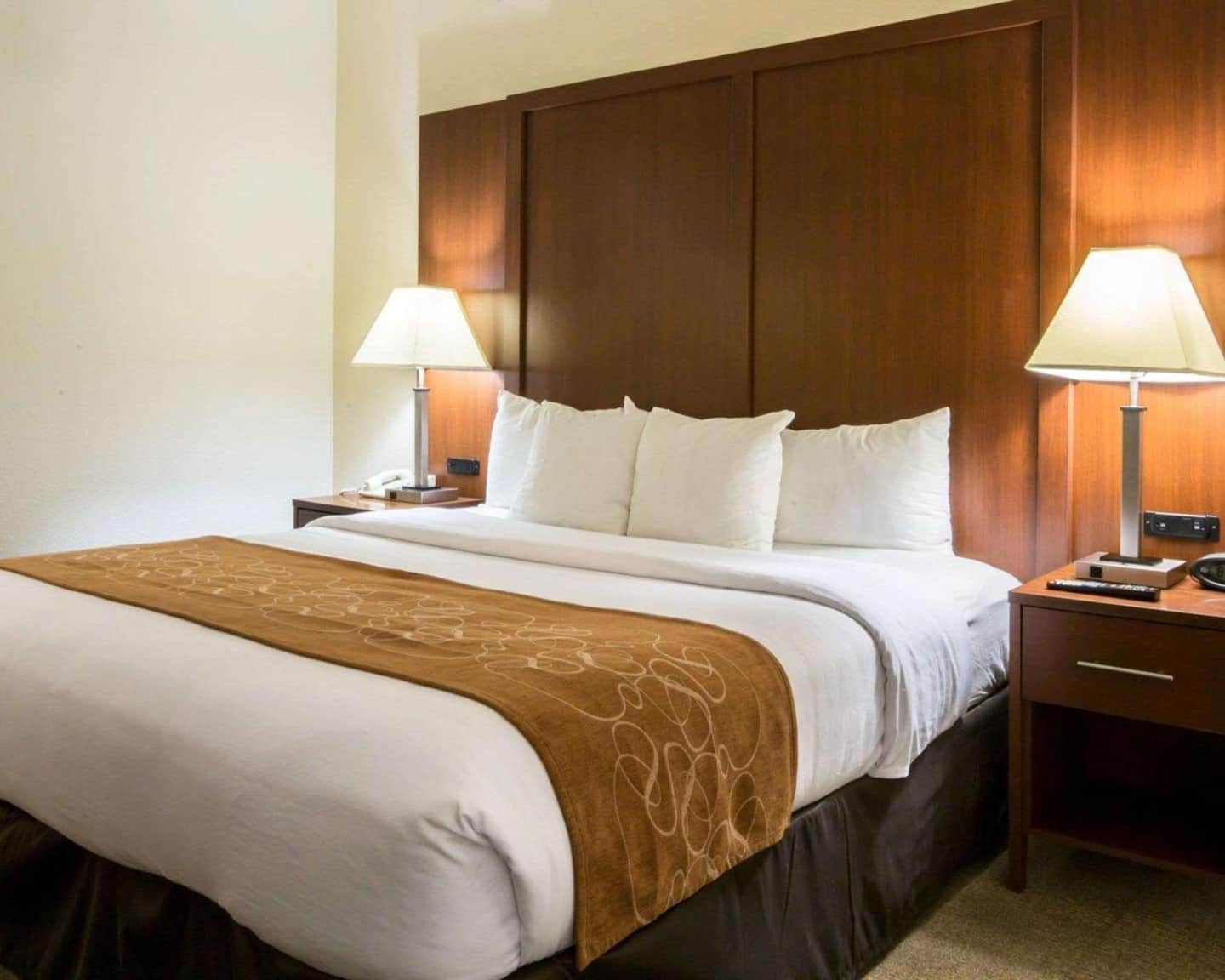Comfort Suites Cumming-Atlanta near Northside Hospital Forsyth